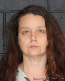 Mugshot of STEPHANIE RENA BOYER booked in Hopkins County, Texas on April 20, 2026