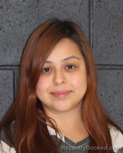 Mugshot of PRISCILLA MONIQUE CASTRO booked in Hopkins County, Texas on April 24, 2026