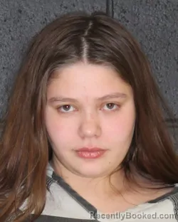 Mugshot of MIKAH JO LOGAN booked in Hopkins County, Texas on April 25, 2026