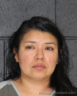 Mugshot of DINORA MORENO booked in Hopkins County, Texas on April 30, 2026