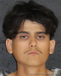 Mugshot of HECTOR VIRGILIO ESPINO booked in Hopkins County, Texas on May 1, 2026