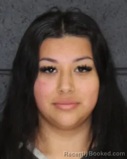 Mugshot of GISELLE EMILYNNE GALVAN booked in Hopkins County, Texas on May 4, 2026