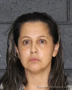 Mugshot of FLOR D HURTADO booked in Hopkins County, Texas on May 4, 2026