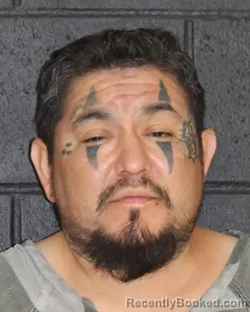 Mugshot of ROGELIO MARCIAL SILVA booked in Hopkins County, Texas on May 9, 2026