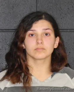 Mugshot of AMBER ALICIA FUENTES booked in Hopkins County, Texas on May 12, 2026