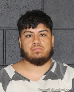 Mugshot of ALFREDO MORALES booked in Hopkins County, Texas on May 12, 2026