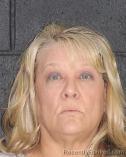 Mugshot of SHANNON RENE HENRY booked in Hopkins County, Texas on May 17, 2026