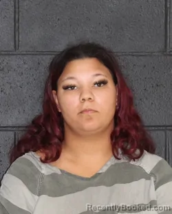 Mugshot of SHYANN RENEE WATTS booked in Hopkins County, Texas on May 21, 2026
