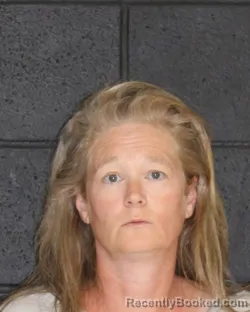 Mugshot of SHRENDA ANN BOREN booked in Hopkins County, Texas on June 26, 2026