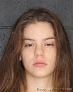 Mugshot of MAKAYLA RAE MCGREGOR booked in Hopkins County, Texas on June 27, 2026