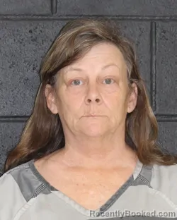 Mugshot of MELISSA JAN WHITE booked in Hopkins County, Texas on June 28, 2026