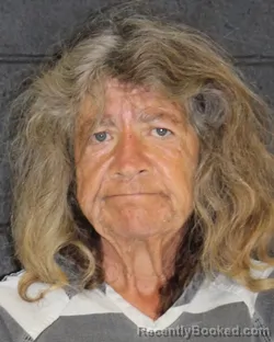 Mugshot of WENDY LOUISE DILLON booked in Hopkins County, Texas on July 14, 2026