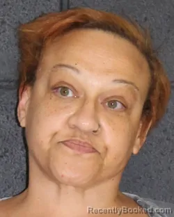 Mugshot of JERRIKA RENNE WILKINS booked in Hopkins County, Texas on July 17, 2026