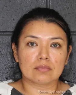 Mugshot of Dinora Moreno booked in Hopkins County, Texas on September 4, 2026