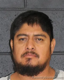 Mugshot of Sergio Guillermo Pastor booked in Hopkins County, Texas on September 8, 2026