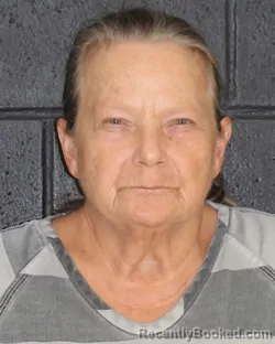 Mugshot of Robin Diane Brandt booked in Hopkins County, Texas on September 15, 2026