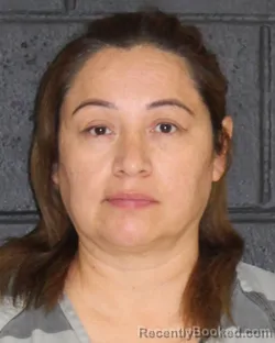 Mugshot of Virginia Mayte Gudino-Catalan booked in Hopkins County, Texas on September 16, 2026