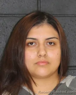 Mugshot of Stephanie Martinez booked in Hopkins County, Texas on September 22, 2026