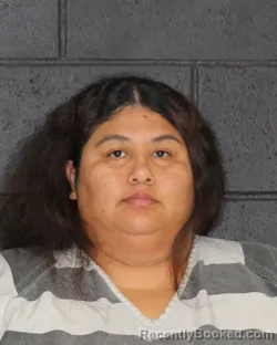 Mugshot of Nataly Carolina Martinez booked in Hopkins County, Texas on September 22, 2026