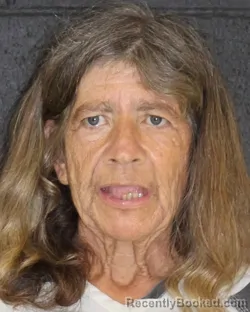 Mugshot of Wendy Louise Dillon booked in Hopkins County, Texas on September 30, 2026
