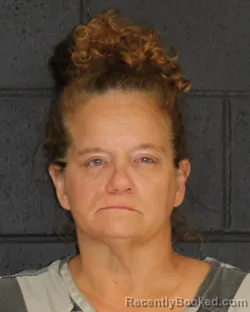 Mugshot of Cynthia Ann Rosner booked in Hopkins County, Texas on October 8, 2026