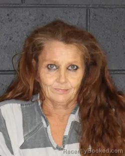 Mugshot of Michelle Ladawn Petrea booked in Hopkins County, Texas on October 8, 2026