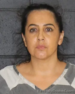 Mugshot of Flor Hurtado booked in Hopkins County, Texas on October 12, 2026