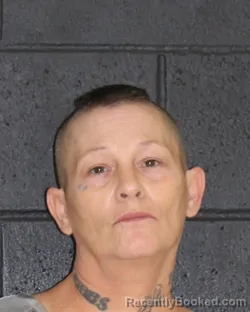 Mugshot of Misty Lynn Cribbs booked in Hopkins County, Texas on October 13, 2026