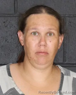 Mugshot of Sarah Nicole Wilson booked in Hopkins County, Texas on October 22, 2026