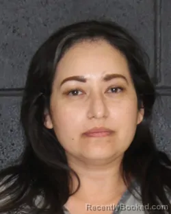 Mugshot of Erica Rey Navarro booked in Hopkins County, Texas on October 27, 2026