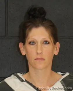 Mugshot of Marisa Ann Jones booked in Hopkins County, Texas on October 28, 2026