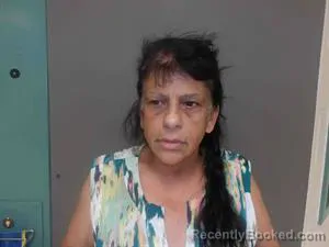 Mugshot of BRENDA KAY BURRAN booked in Houston County, Texas on July 10, 2026