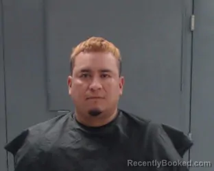 Mugshot of LUIS TRINIDAD CASTILLO ARRIAGA