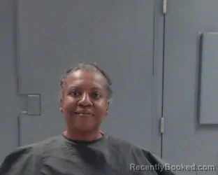 Mugshot of VIRGINIA LYNN JONES