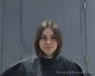 Mugshot of ALLIE KRISTINE HARRISON