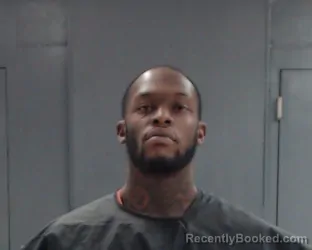 Mugshot of CAMERON JOSHAUNN MINGER booked in Hunt County, Texas on June 29, 2026