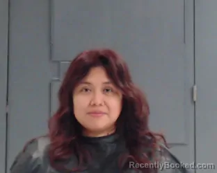 Mugshot of Grecia Denise Cruz booked in Hunt County, Texas on August 25, 2026