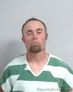 Mugshot of Tracy Lane Webb