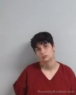 Mugshot of Mariah Danielle Salinas