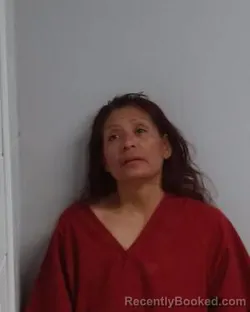 Mugshot of Diana Vega booked in Hutchinson County, Texas on April 12, 2026