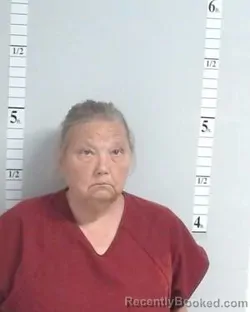 Mugshot of Deborah Kay Hazelwood booked in Hutchinson County, Texas on July 27, 2026