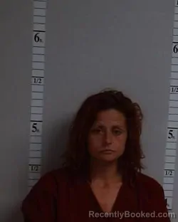 Mugshot of Ashley Jo Fleetwood booked in Hutchinson County, Texas on July 29, 2026