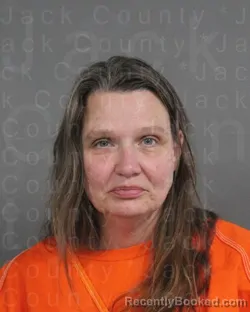 Mugshot of REBECCA ANN DAVIS