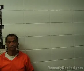 Mugshot of ERNELL HAILES