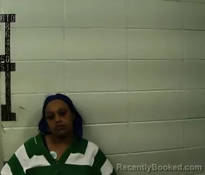 Mugshot of Sandra Nicole Newell