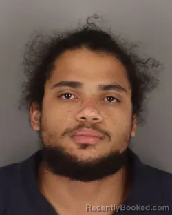 Mugshot of DONOVAN ROBINSON