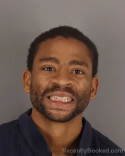 Mugshot of JUSTICE LARZO