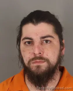 Mugshot of DAMIAN MEAGHER