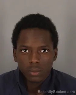 Booking photo from Jefferson County, Texas