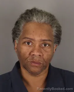 Mugshot of LISA LINDSEY